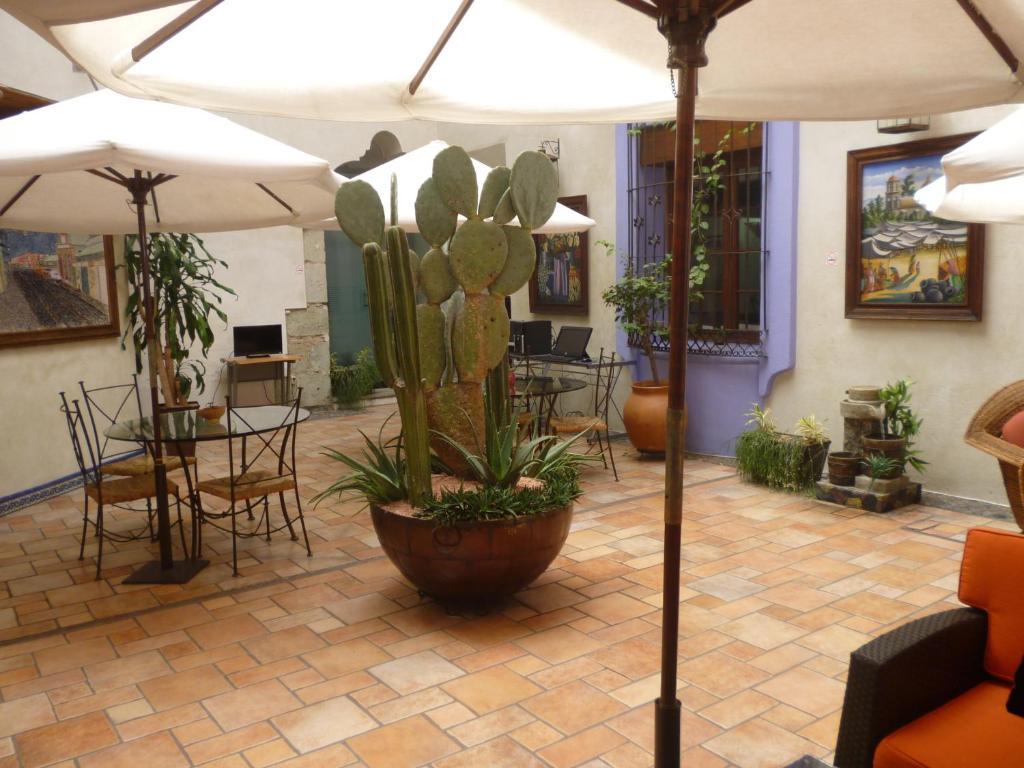 Oaxaca Hotel Trebol חדר תמונה