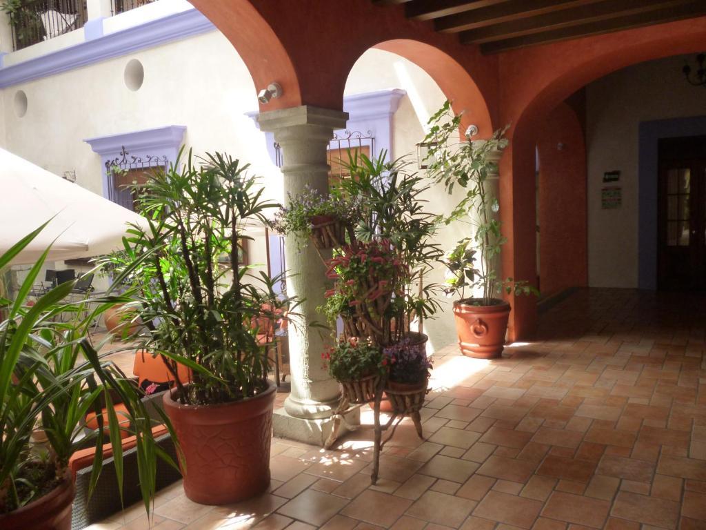 Oaxaca Hotel Trebol חדר תמונה